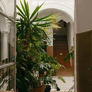 Africa Guest house